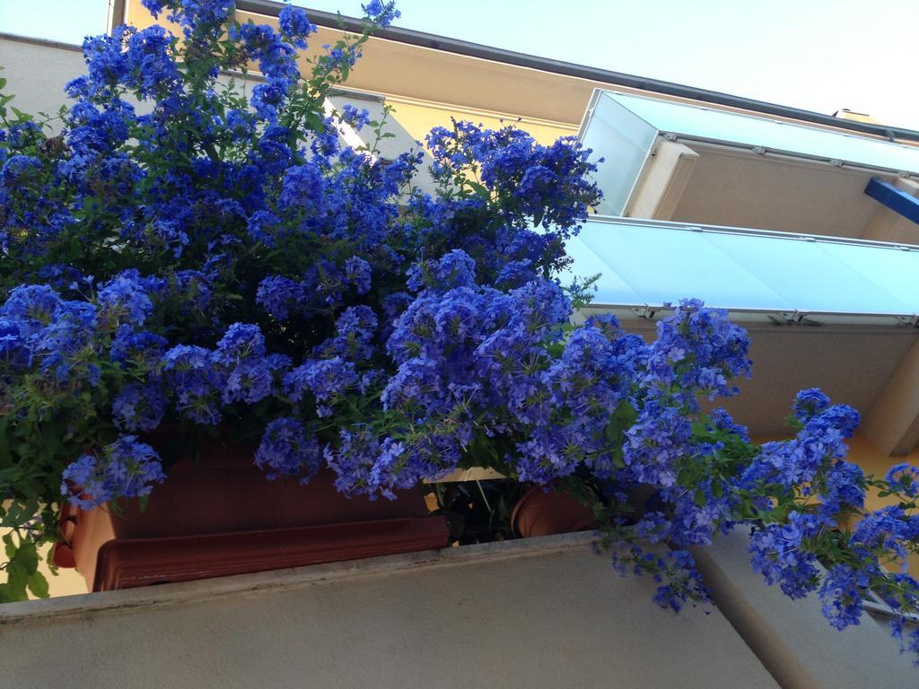 Hotel Vienna Senigallia Dış mekan fotoğraf